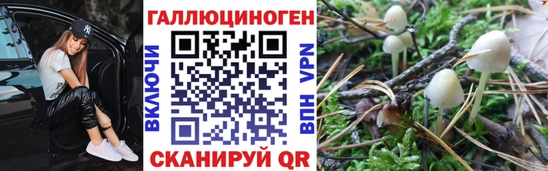 Псилоцибиновые грибы мицелий  гидра   Сысерть 