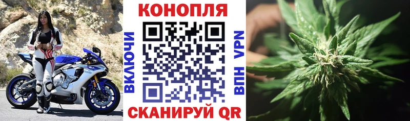 kraken где найти наркотики Сысерть shop телеграм Конопля индика